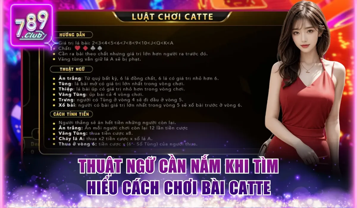 Thuật ngữ cần nắm khi tìm hiểu cách chơi bài Catte